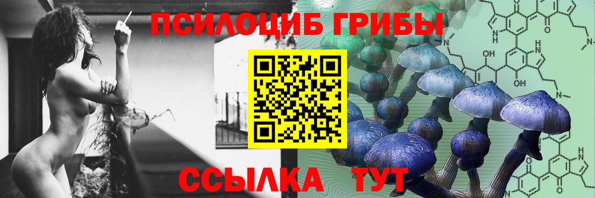 Галлюциногенные грибы Cubensis Ефремов