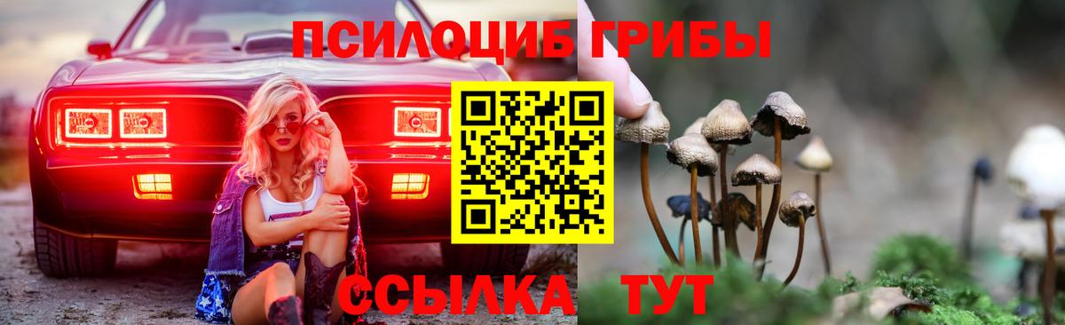Ефремов  Псилоцибиновые грибы Psilocybine cubensis  закладки  Вход с VPN 